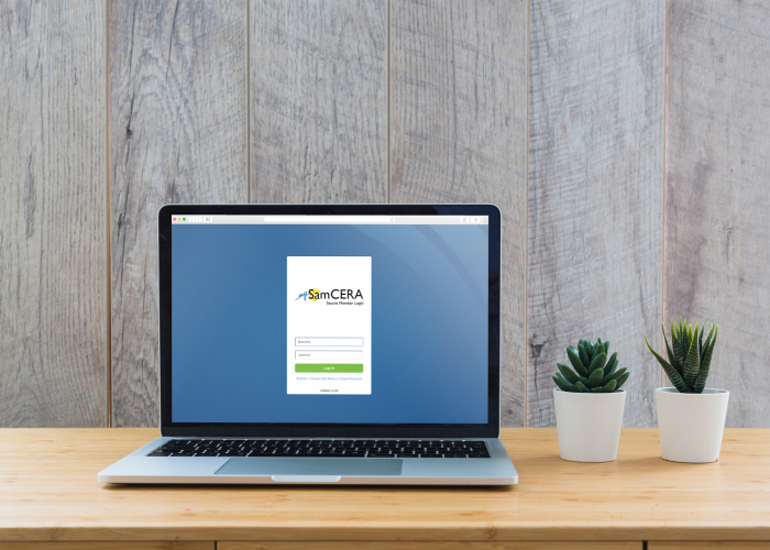 laptop on table with two succulent plants