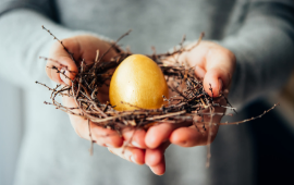 golden egg in nest